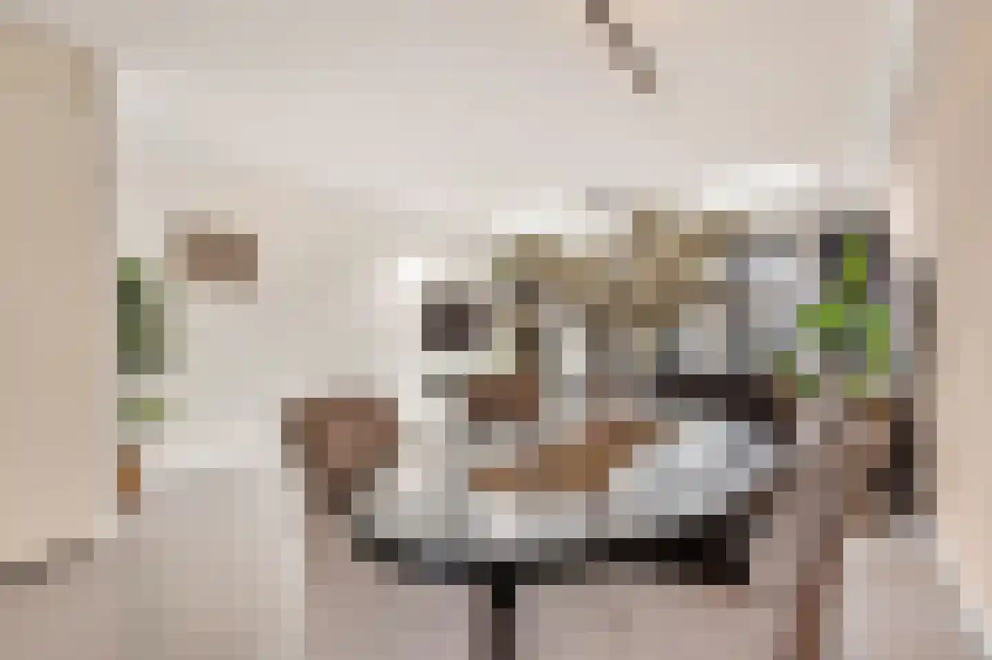 Eensgevonden 12 Amsterdam thumbnail 19