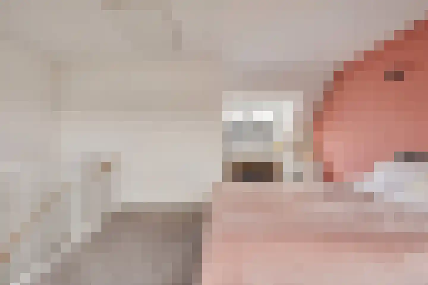 Eensgevonden 12 Amsterdam thumbnail 41