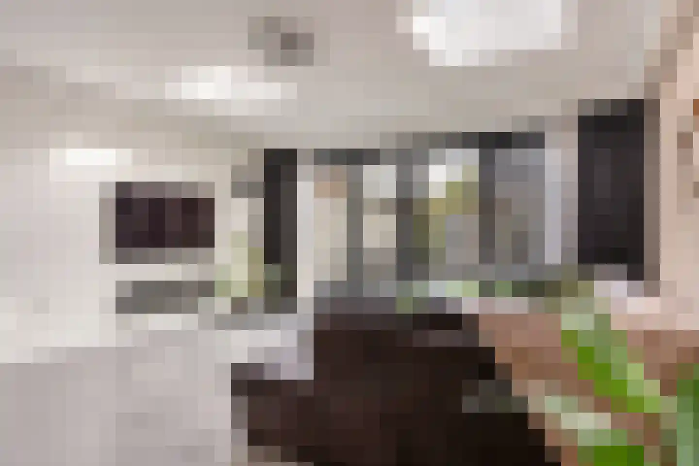 Eensgevonden 12 Amsterdam thumbnail 5