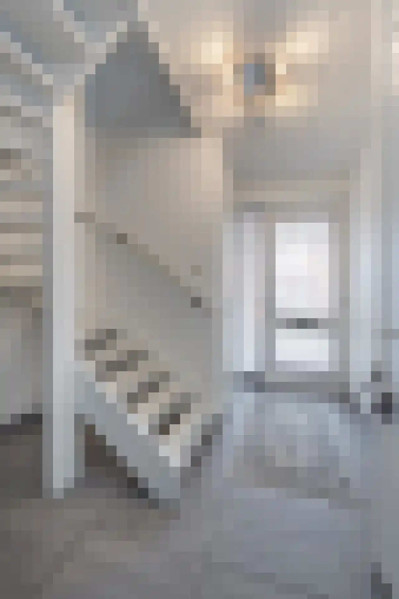 Eerdmanserve 9 Rijssen thumbnail 12