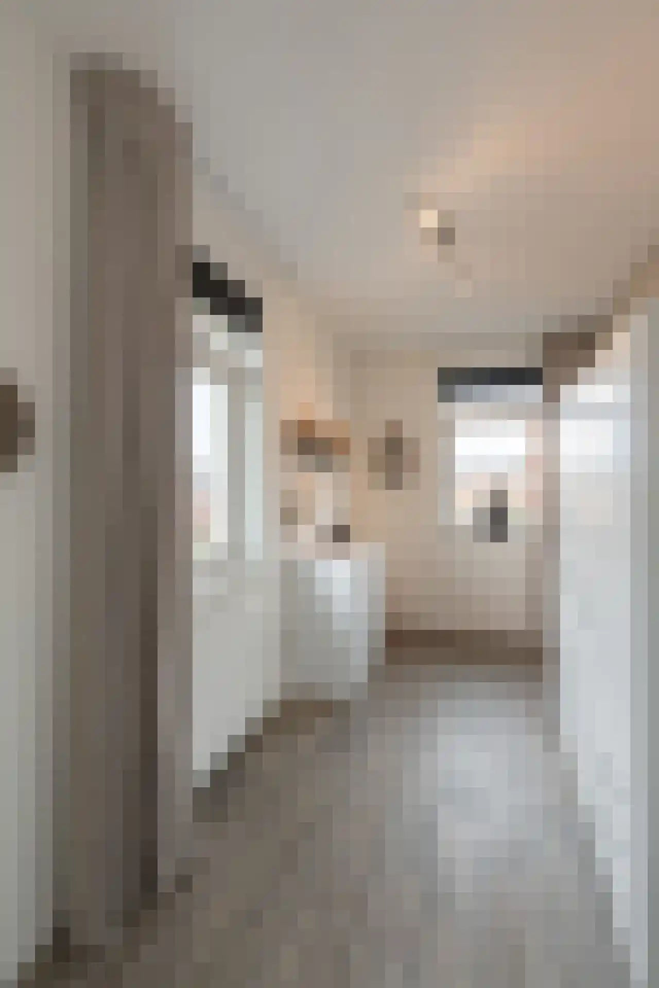 Eerdmanserve 9 Rijssen thumbnail 16