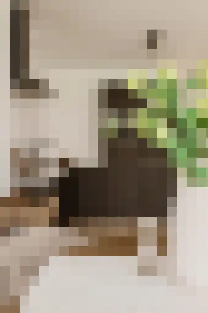 Eerste Helmersstraat 65 2 Amsterdam thumbnail 16