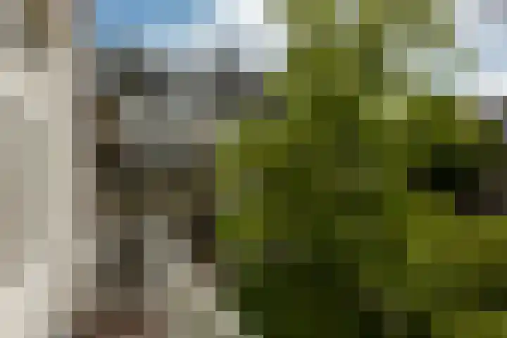 Eerste Helmersstraat 65 2 Amsterdam thumbnail 20