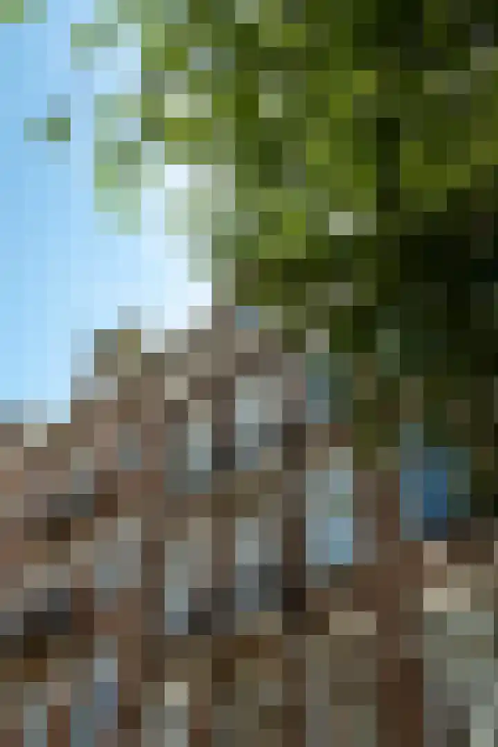 Eerste Helmersstraat 65 2 Amsterdam thumbnail 29