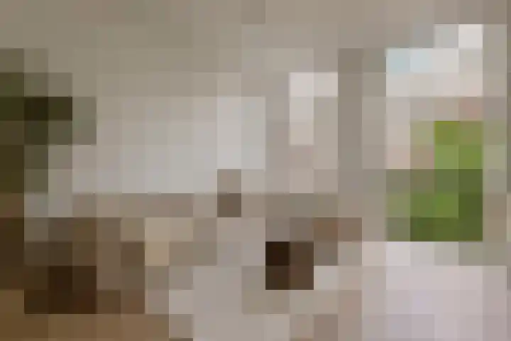 Eerste Helmersstraat 65 2 Amsterdam thumbnail 5