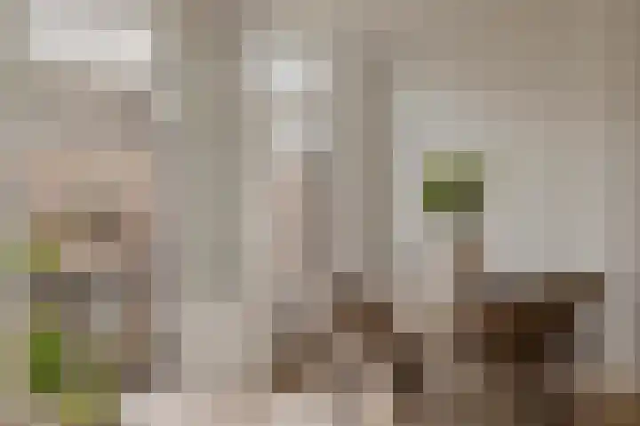 Eerste Helmersstraat 65 2 Amsterdam thumbnail 6