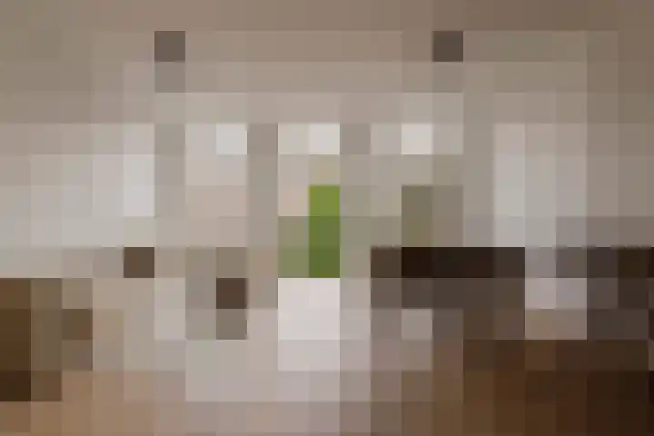Eerste Helmersstraat 65 2 Amsterdam thumbnail 7