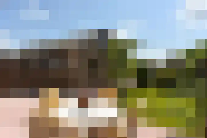 Eerste Hoefweg 2 de Hoef thumbnail 28