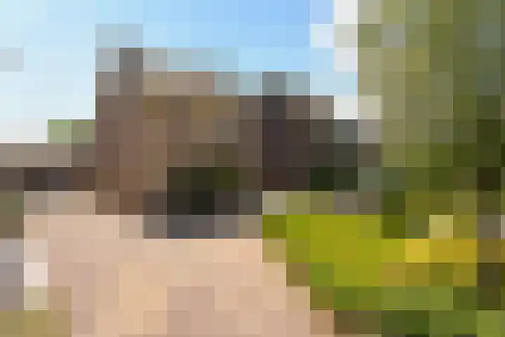 Eerste Hoefweg 2 de Hoef thumbnail 29