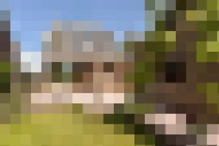 Eerste Hoefweg 2 de Hoef foto 3