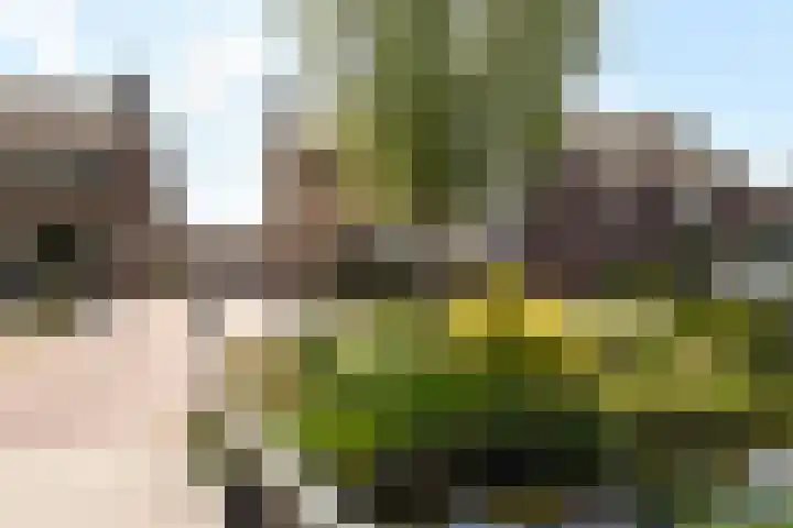 Eerste Hoefweg 2 de Hoef thumbnail 30