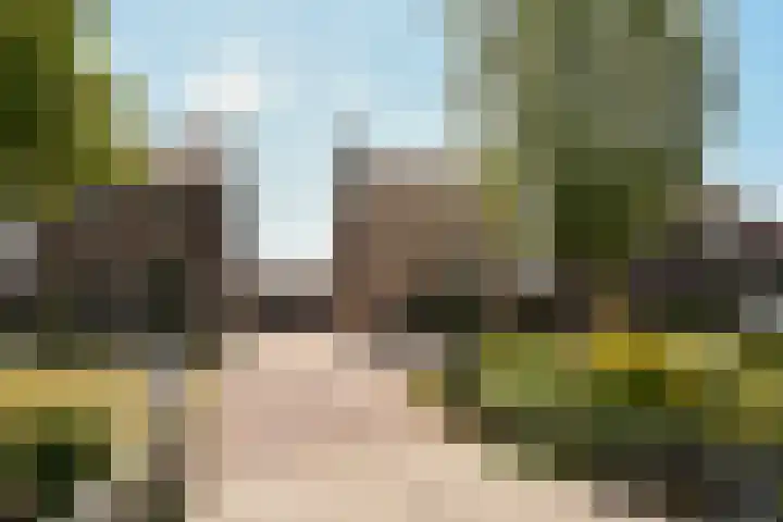 Eerste Hoefweg 2 de Hoef thumbnail 31