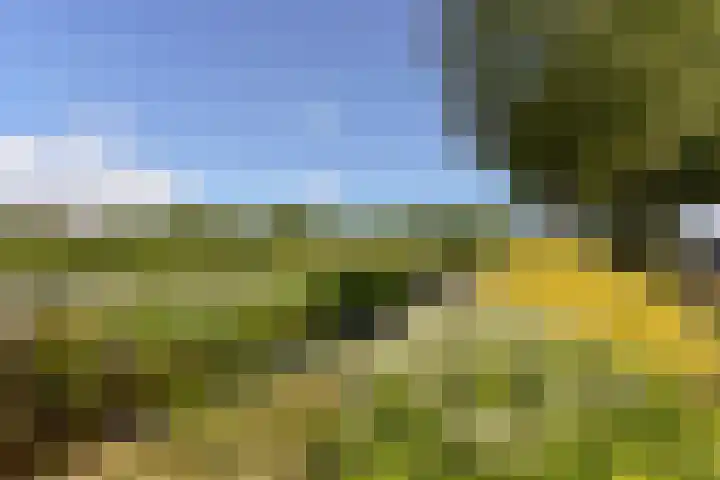 Eerste Hoefweg 2 de Hoef thumbnail 35