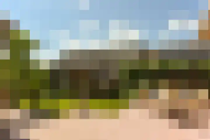 Eerste Hoefweg 2 de Hoef thumbnail 4