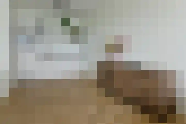 Eerste Hoefweg 8 de Hoef thumbnail 7