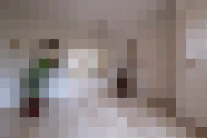 Eerste Laan 4 Norg thumbnail 24