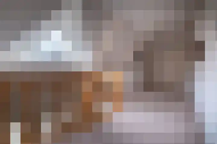 Eerste Laan 4 Norg thumbnail 25