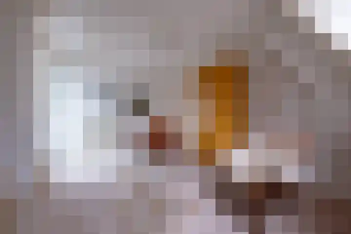 Eerste Laan 4 Norg thumbnail 28