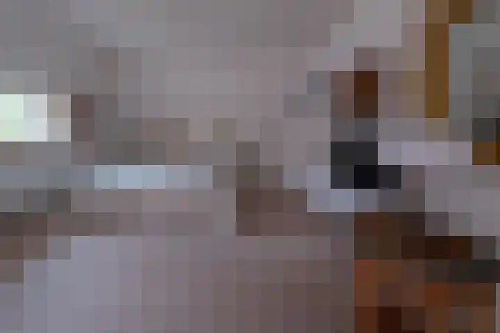 Eerste Laan 4 Norg thumbnail 29