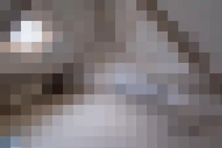 Eerste Laan 4 Norg thumbnail 36