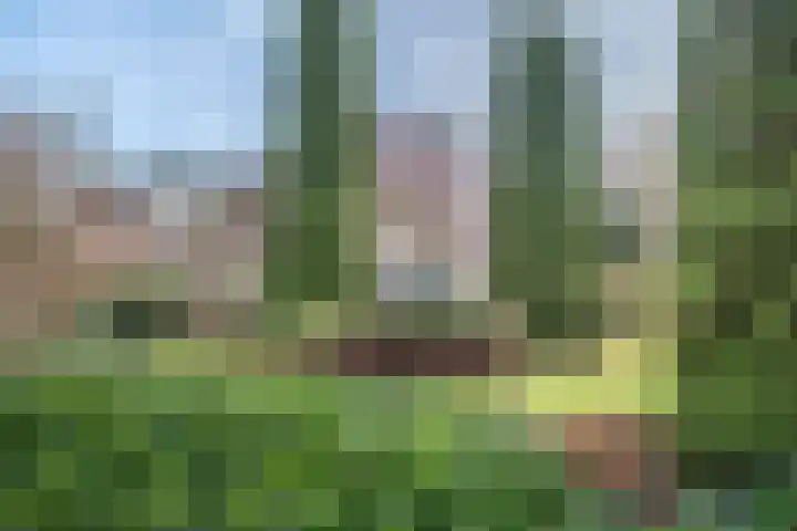 Eerste Laan 4 Norg thumbnail 38