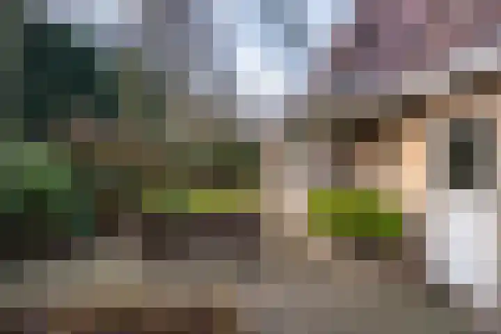 Eerste Laan 4 Norg thumbnail 39
