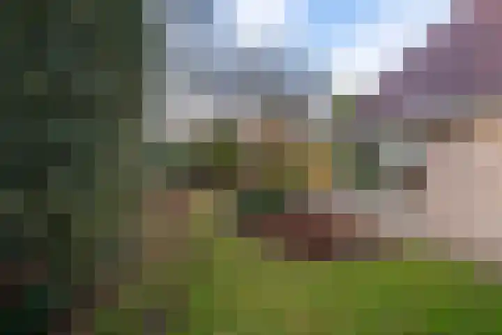Eerste Laan 4 Norg thumbnail 40
