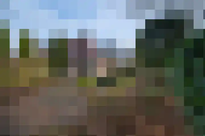 Eerste Laan 4 Norg thumbnail 42