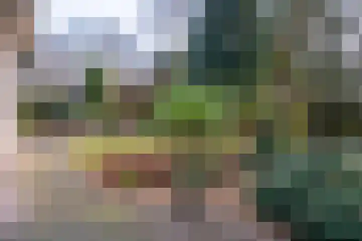Eerste Laan 4 Norg thumbnail 43