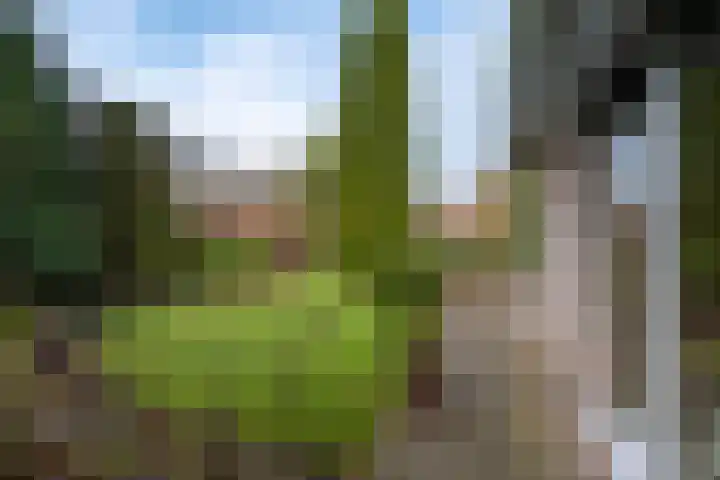 Eerste Laan 4 Norg thumbnail 44