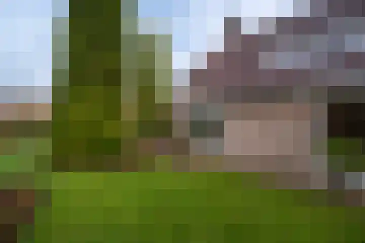 Eerste Laan 4 Norg thumbnail 45