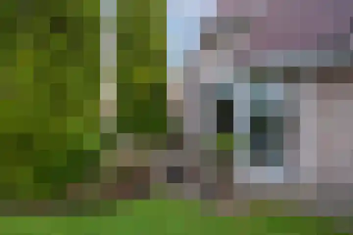 Eerste Laan 4 Norg thumbnail 46