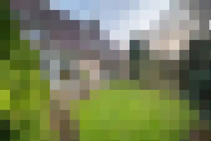 Eerste Laan 4 Norg thumbnail 47