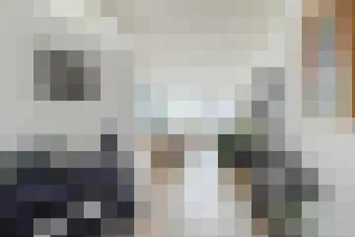 Eesterwaard 114 Zoetermeer thumbnail 10