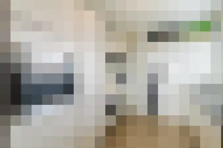 Eesterwaard 114 Zoetermeer thumbnail 16