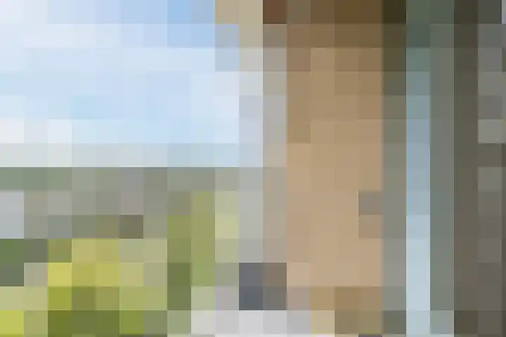 Eesterwaard 114 Zoetermeer thumbnail 28