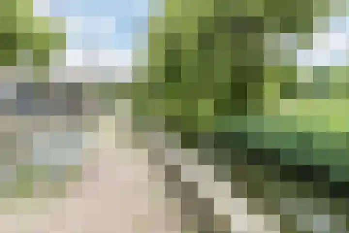Eesterwaard 114 Zoetermeer thumbnail 32