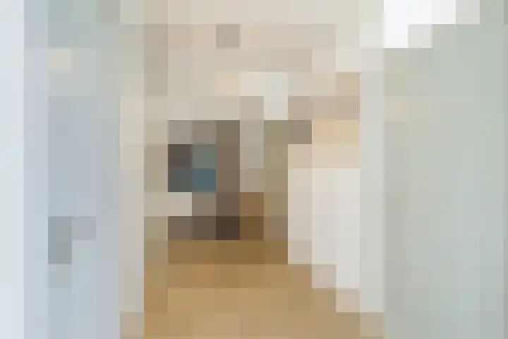 Eesterwaard 114 Zoetermeer thumbnail 9