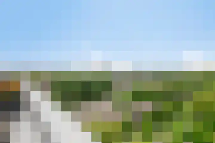 Eesterwaard 130 Zoetermeer thumbnail 14