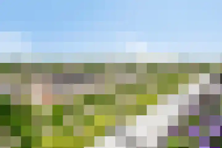 Eesterwaard 130 Zoetermeer thumbnail 4