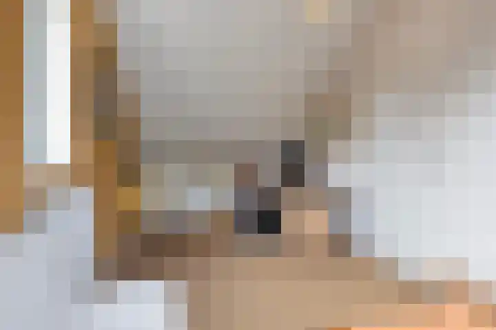 Eeuwelseloop 11 Heesch thumbnail 23