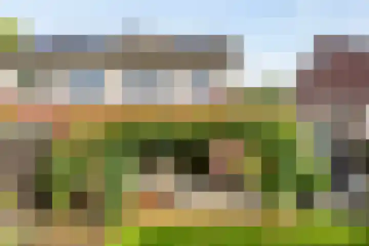 Eeuwelseloop 11 Heesch thumbnail 26