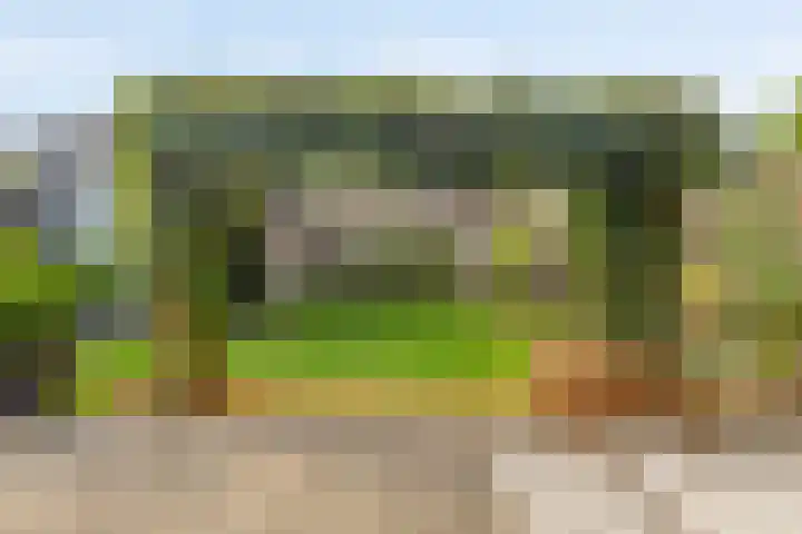 Eeuwelseloop 11 Heesch thumbnail 4