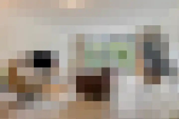 Eeuwelseloop 11 Heesch thumbnail 7