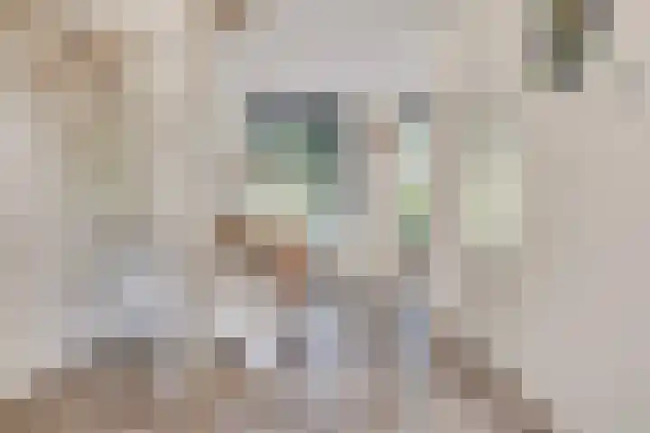 Eeuwelseloop 11 Heesch thumbnail 9