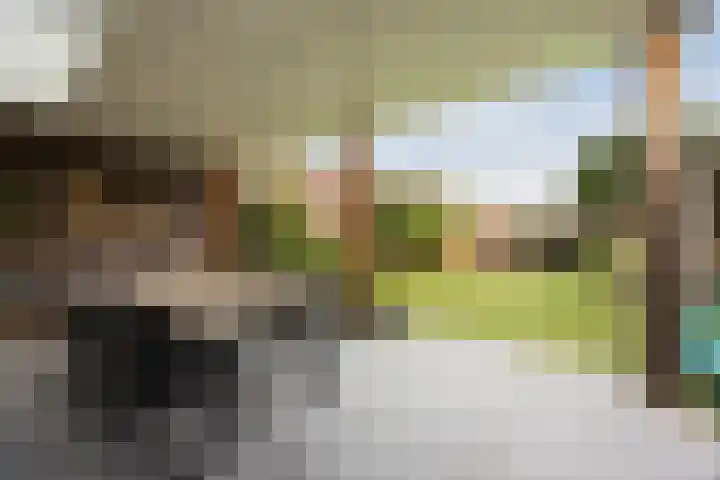 Eeuwsel 5 Nistelrode thumbnail 38