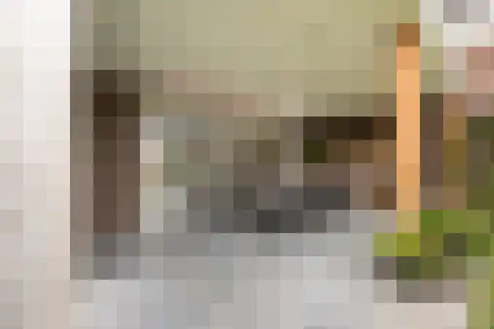 Eeuwsel 5 Nistelrode thumbnail 39