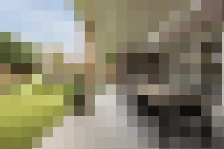 Eeuwsel 5 Nistelrode thumbnail 4