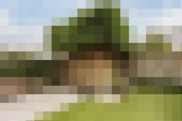 Eeuwsel 5 Nistelrode thumbnail 40