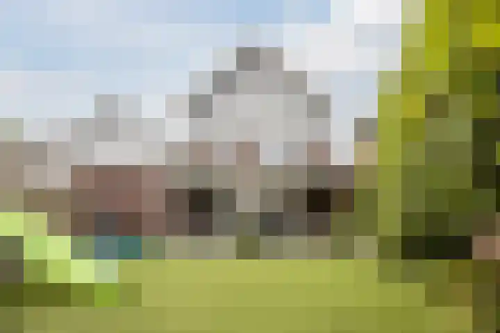 Eeuwsel 5 Nistelrode thumbnail 42